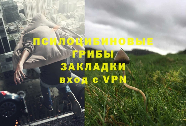 амф Михайловск