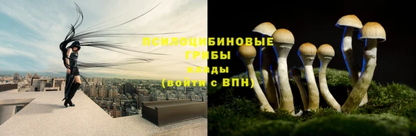 дмт Медвежьегорск