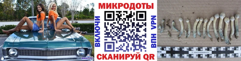 Псилоцибиновые грибы Cubensis  купить   Спас-Клепики 