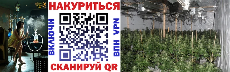 Бошки марихуана White Widow  Спас-Клепики 